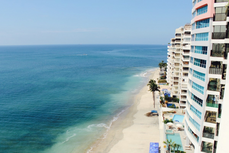 chambre-hote-LE CANNET-min_beach_ocean_shore_hotel_palm_tree-33726